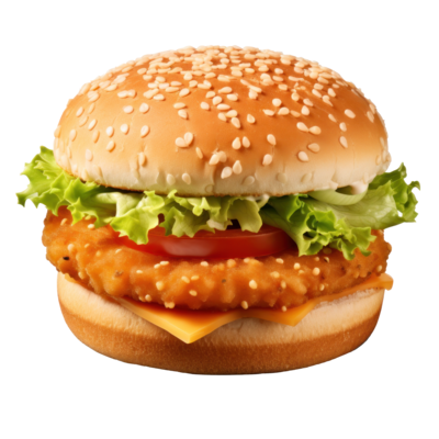 fish burger